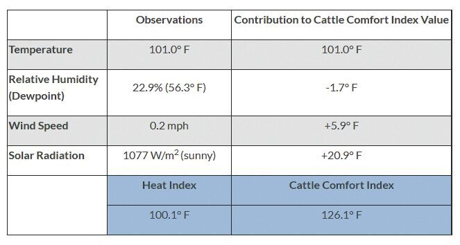Cattle comfort table